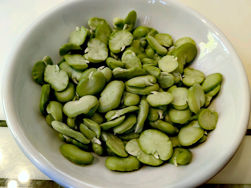 春日限定——白花豆米汤