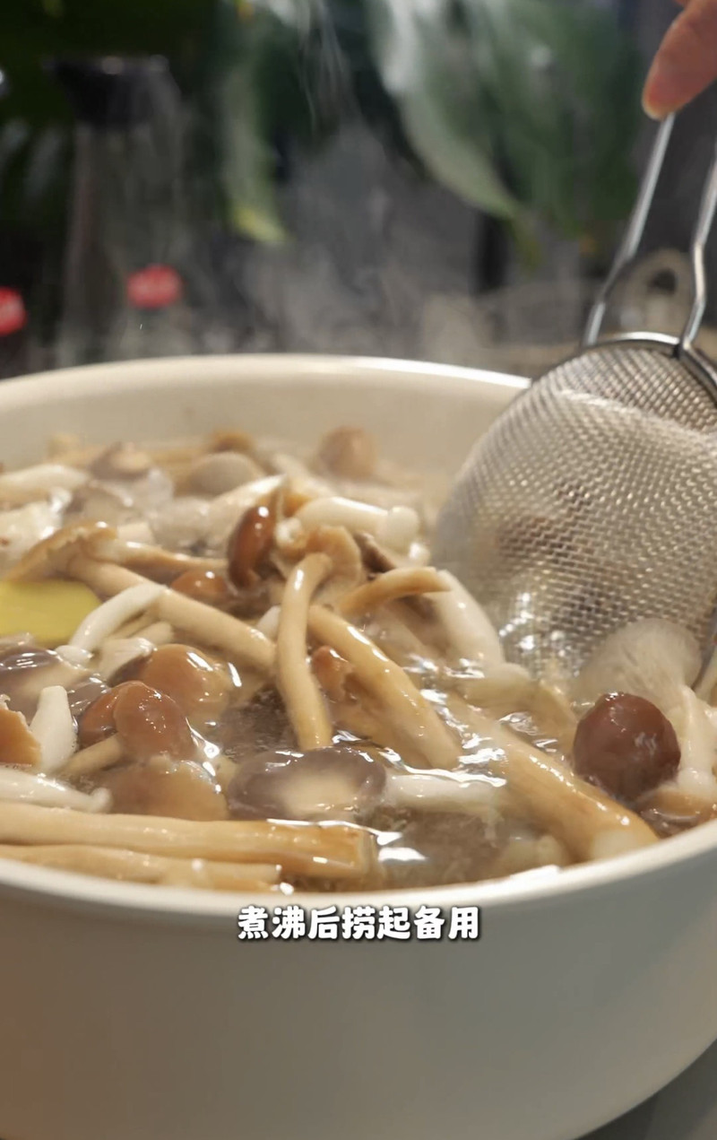 零失败！这锅菌菇煲，让普通蘑菇秒变“下饭刺客”