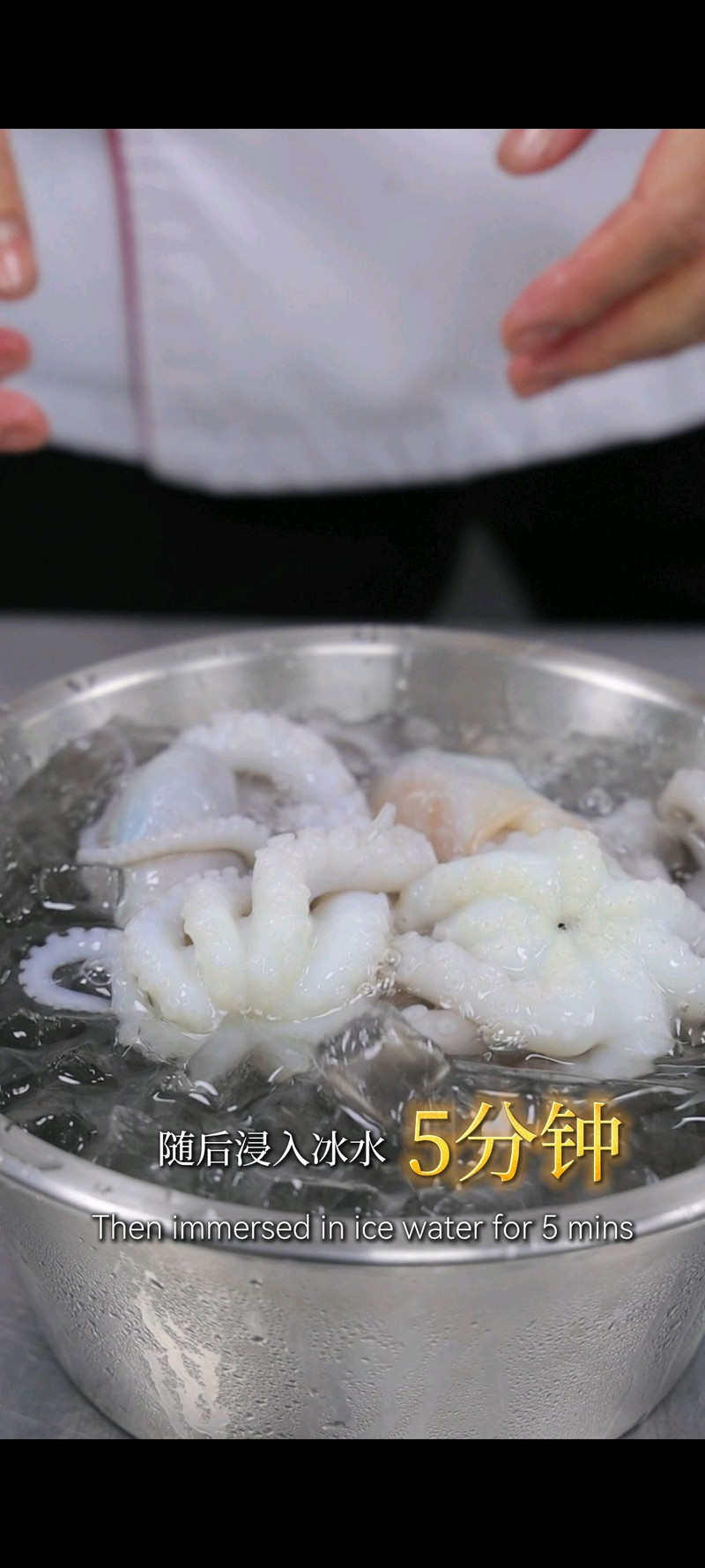 金汤小章鱼
