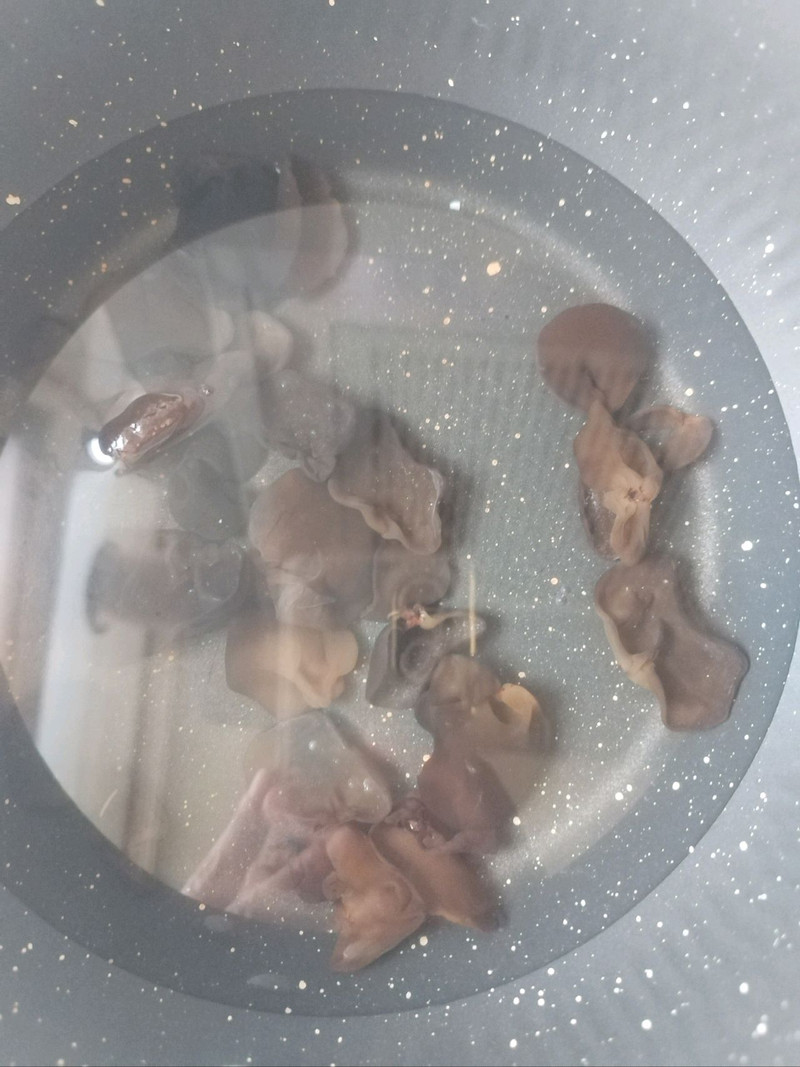 厨房小白3步封神凉菜～凉拌穿心莲