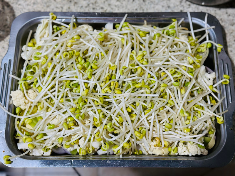 家庭版烤鱼