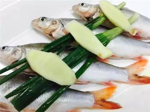 这种野生鲫鱼，现在有钱都很难吃到