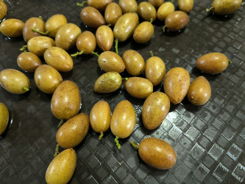 腌黄皮