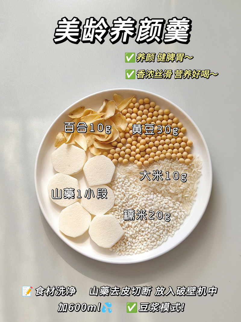 美龄养颜豆浆-破壁机版