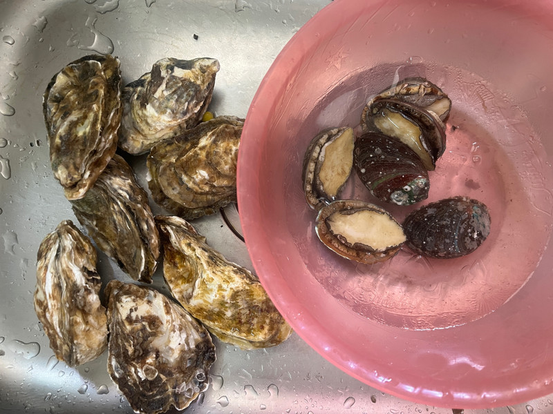 清蒸鲍鱼和生蚝