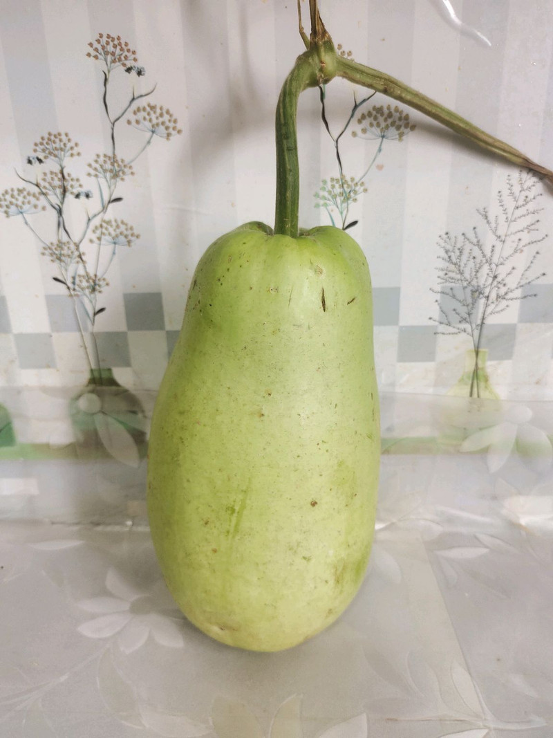 葫芦鸡蛋汤