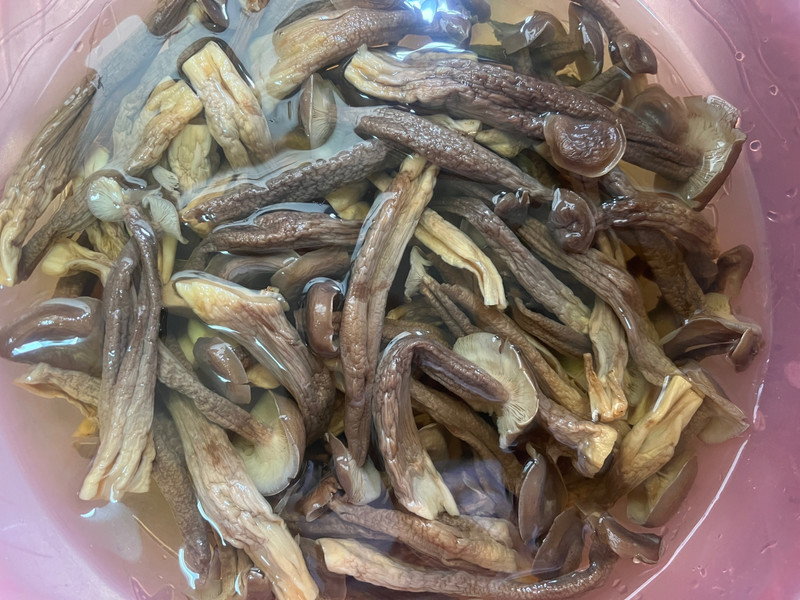 鹿茸菇炒肉