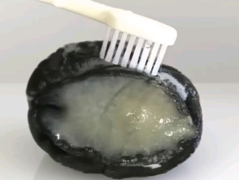 鲍鱼捞饭