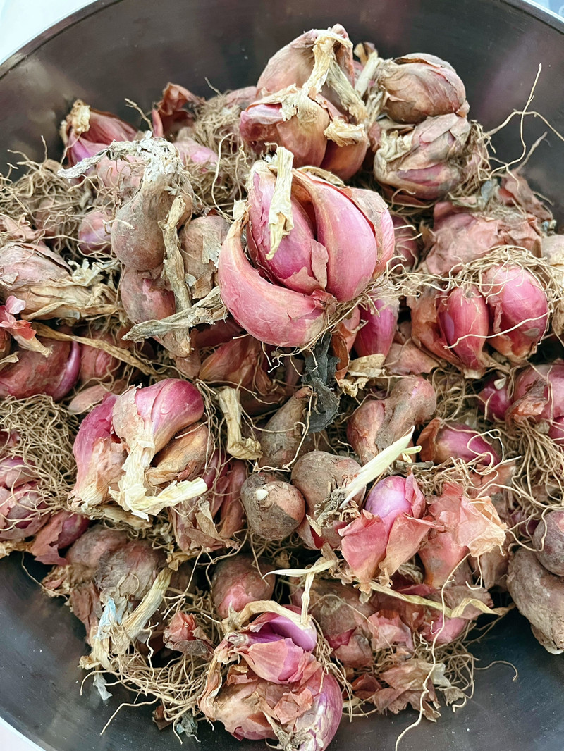 自制红葱酥