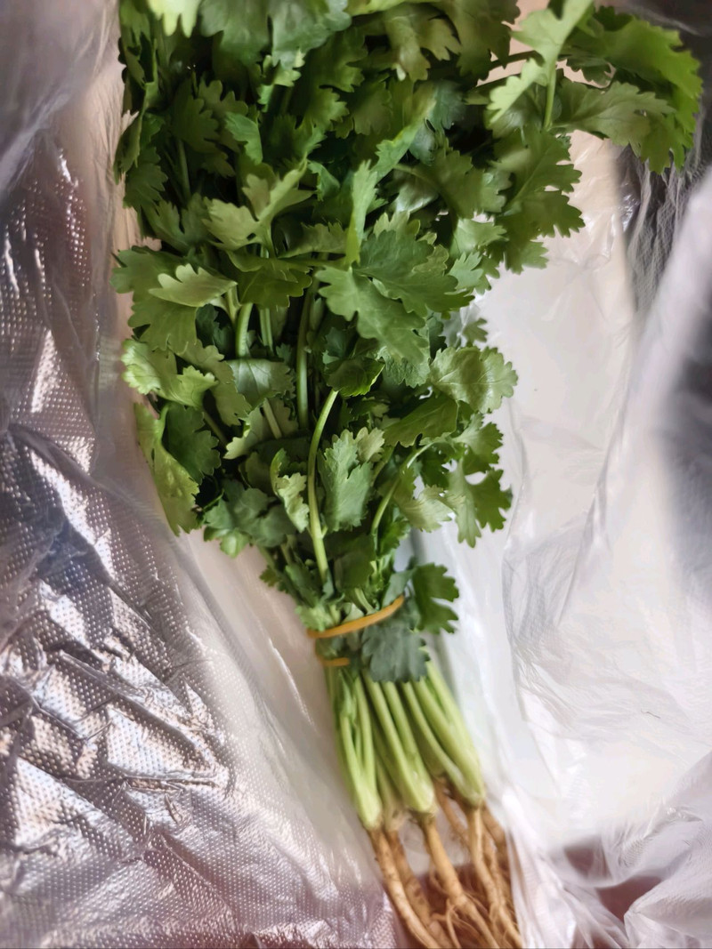 香菜拌牛肉