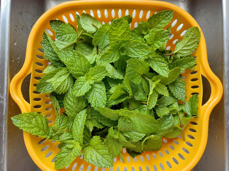 薄荷炸排骨