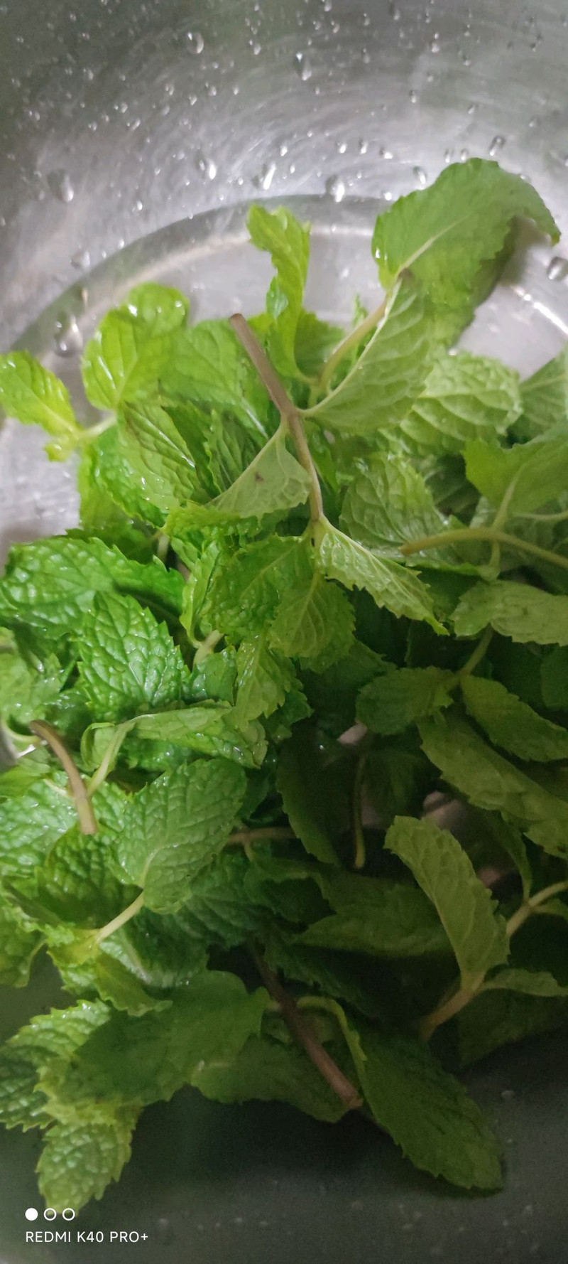 原神之凉拌薄荷 原神之凉拌薄荷