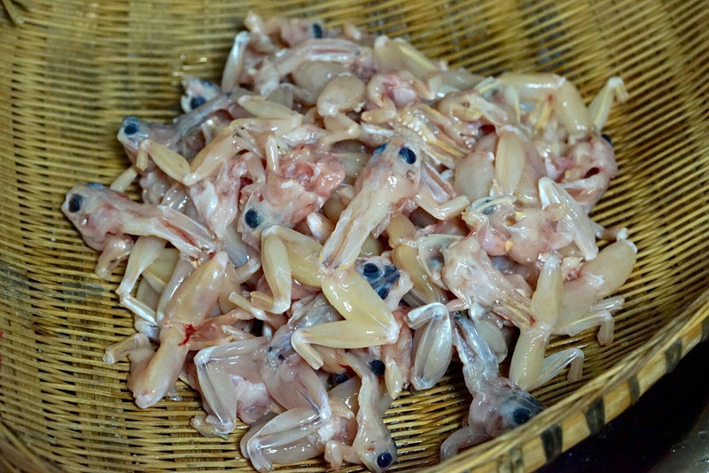 跳水蛙，地道川菜绝对不容错过哦～