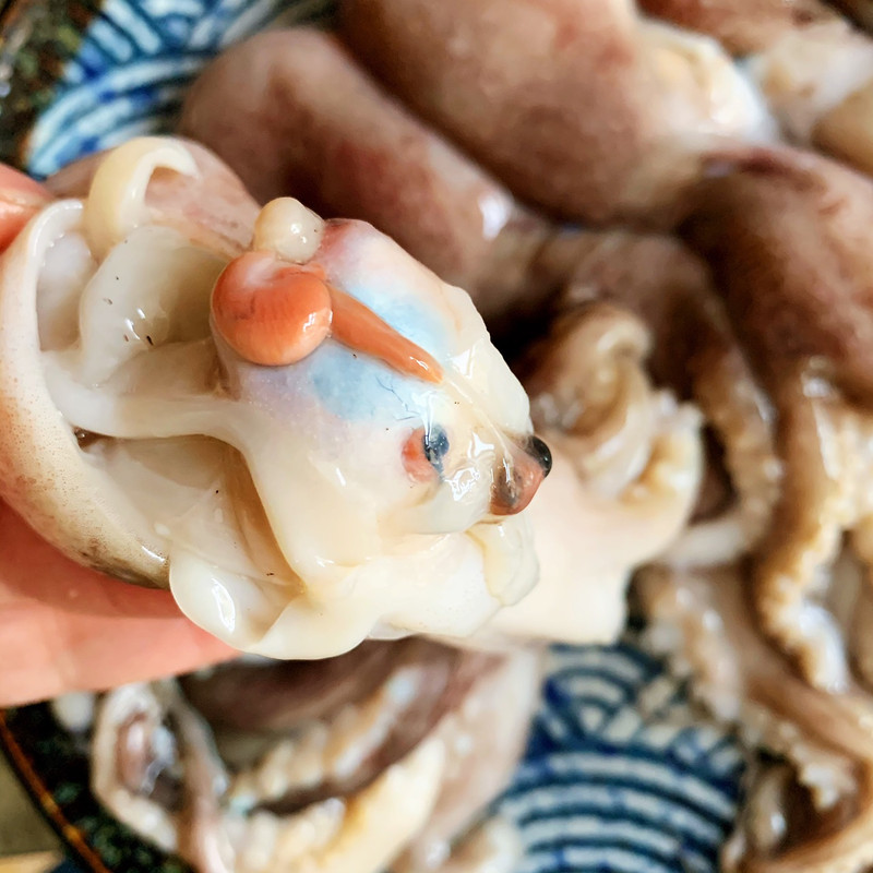 凉拌八瓜鱼
