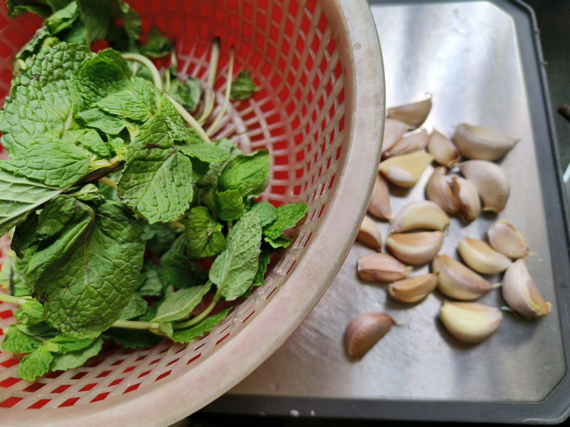 薄荷炒鸡 薄荷炒鸡