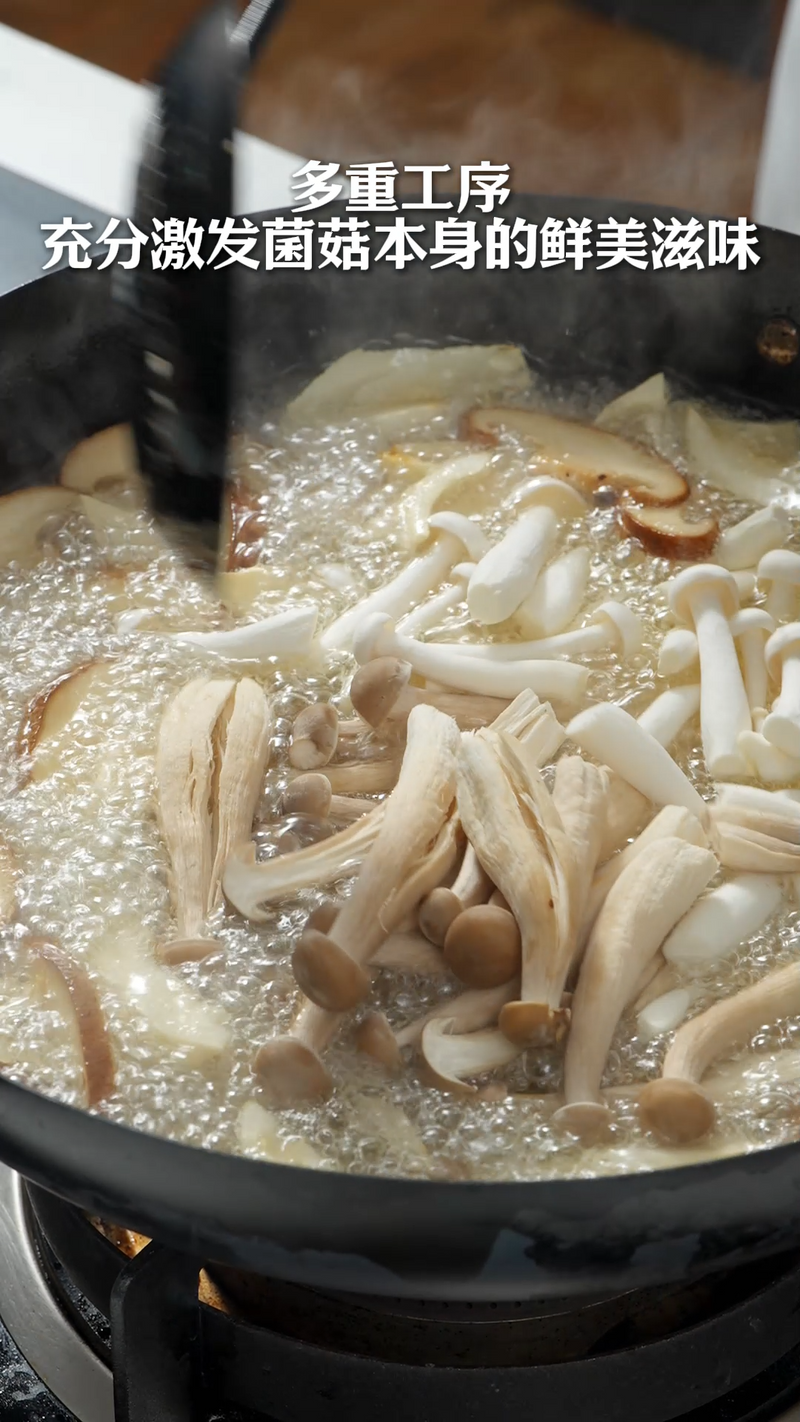 森林群菇 森林群菇