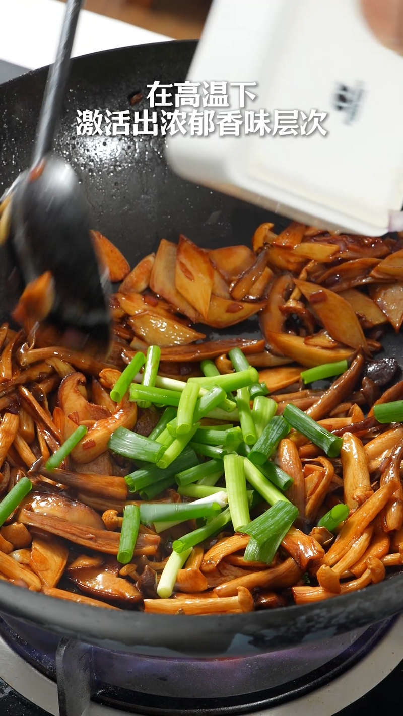 森林群菇 森林群菇