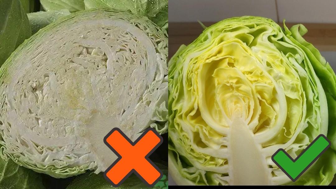 素手撕包菜 素手撕包菜